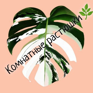 Комнатные Растюшки🌿