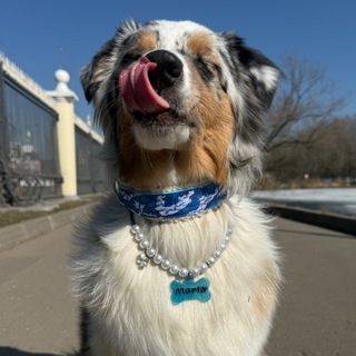 🐣МАРТА OMG🐾