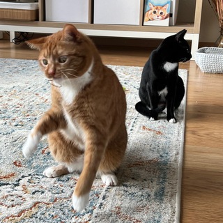 Марвелюша и Ириска