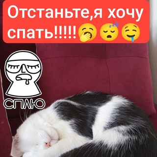 TEAM Машенька С🏡⛸️🍬