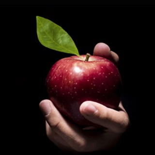 Запретный маркетинг