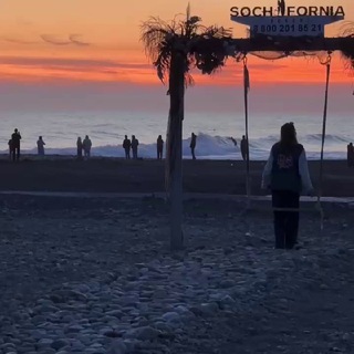 Директор Адлера