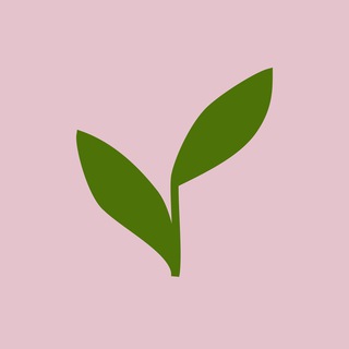 Матчамания