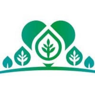 Стационарный лагерь МАУ «Горизонт»