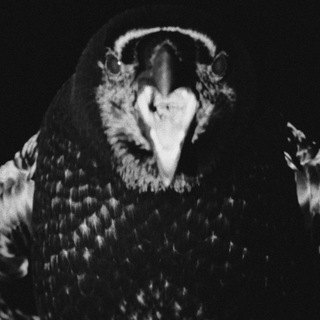 масло черного тмина.