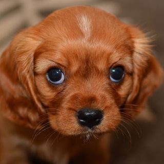 Запредельная милота 🥰