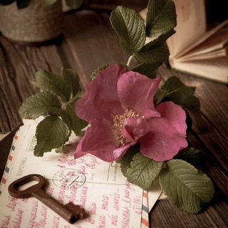 Любимые стихи ♡ Поэты и поэзия