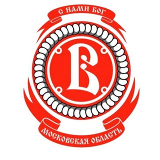 МАУ ДО "СШ "Витязь" имени В.И. Васильева"