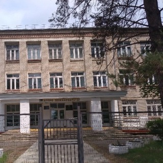 МБОУ СОШ 1 р.п. Хор