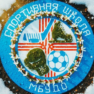 МБУДО СШ "Ледовый дворец"