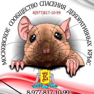 МССДК (Московское сообщество спасения декоративных крыс) *8(977)817-10-99*