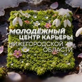 Молодёжный центр карьеры Нижегородской области