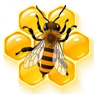 Смелость быть собой | Психолог. Коуч | Медиапчела