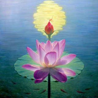 ЭНЕРГИЯ ТАНТРА МЕДИТАЦИЯ ❁ каждый понедельник в 21.00 ❁ спину выпрями! чувствуешь?..