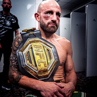 Медоед | ММА