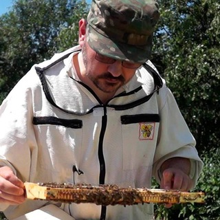 🐝 Медоведение 🐝