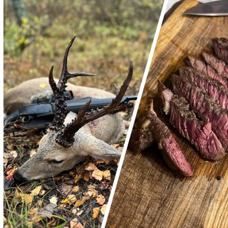 РЕЦЕПТЫ ИЗ ДИЧИ И ОХОТА