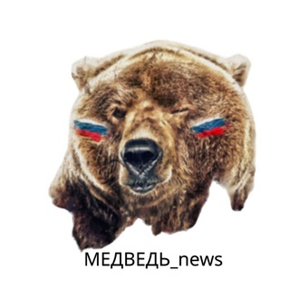 Медведь_news