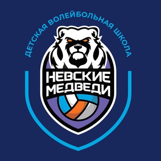 Детская волейбольная школа - Невские медведи
