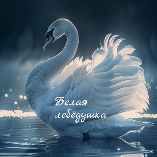 Женские встречи 🦢