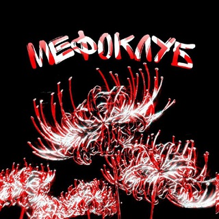 МефоКлуб БС