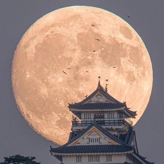 мега | пн • чт 🇰🇷