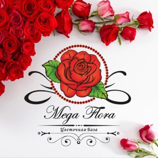 МЕГА ФЛОРА