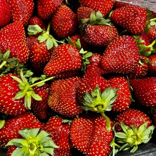 Фрукты и Овощи