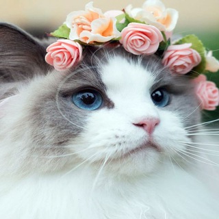 МЕГА СКИДКА — ЛОВИМ ВЫГОДУ