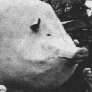 Заграничные Тиктоки от Илюхи