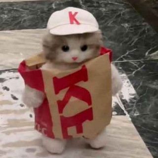 Сам себе мехмат