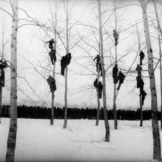 Новые дворники, сторожа и кочегары {Лиза Хереш}