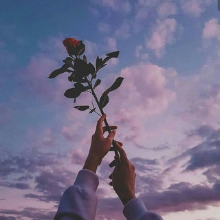 Мᥱ᧘ᥲньκᥲ 🥀