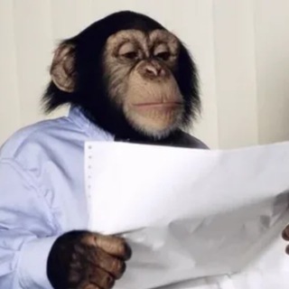 ГИФКИ | МЕМНЫЕ ГИФКИ