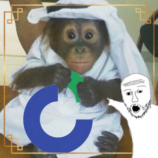 Мемный СурГУ