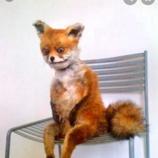 Мемы про работаньку