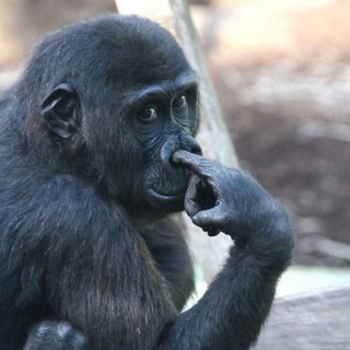 Русские Мемы 24/7 ️