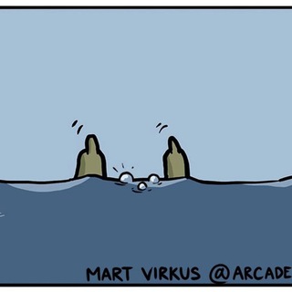 Я сухопутная, мудила!