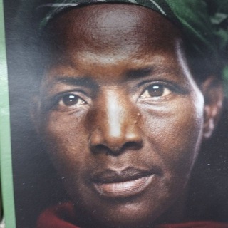 "MemeFest: дозировка смеха в телеграм"