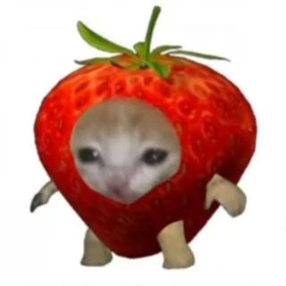 Фоны и мемы для Тик Тока