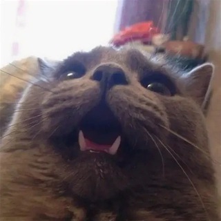 Меморандум