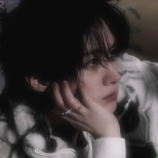 Бродячие коты Ли Минхо [бклм]; au