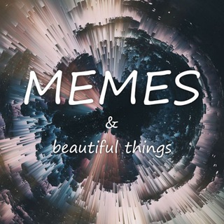MEMES & beautiful things