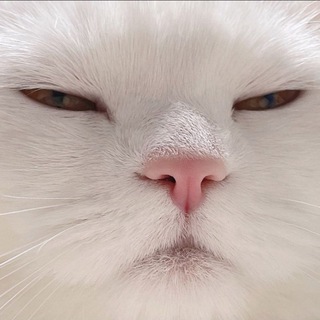 Сохраненки