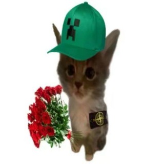 🔗✨ Стикеры | Стики | Stickers | Эмодзи | Гифки ✨🔗