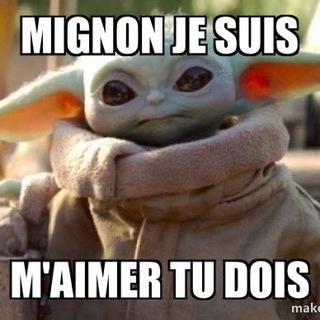 Mèmes en français / Мемы на французском