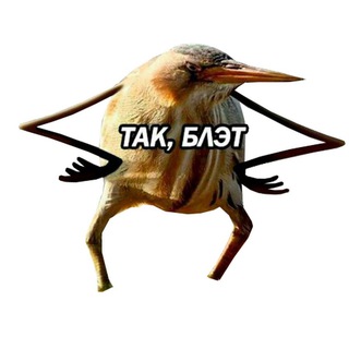 Memes, money and crypt