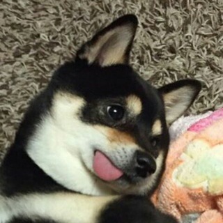 Good Kid, M.E.M.E. City