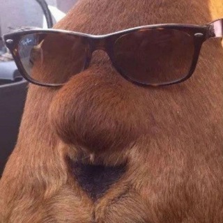 Мемная Лавочка