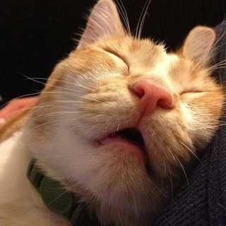 Мемная база